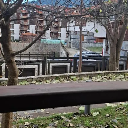 The Alpine Emerald Elegant In