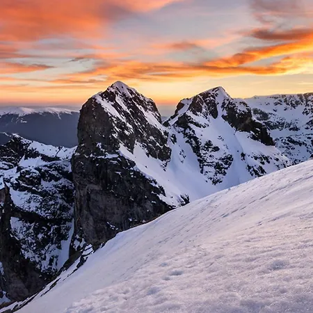 The Alpine Emerald Elegant In * Bansko